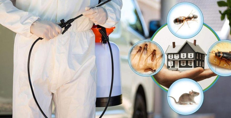 Kocaköy Böcek İlaçlama