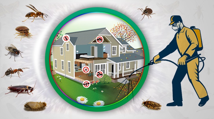 Kocaköy Böcek İlaçlama