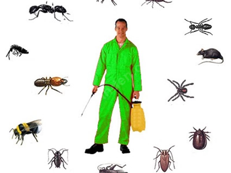 Kocaköy Böcek İlaçlama